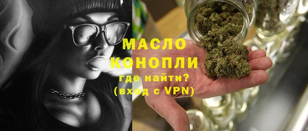 индика Богородск