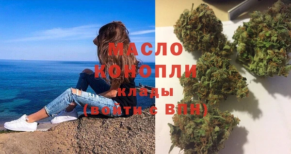 индика Богородск