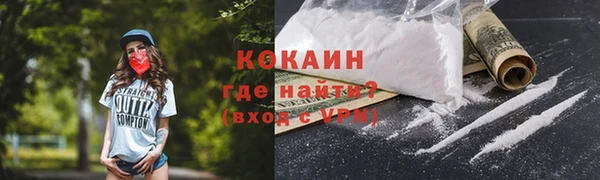 индика Богородск