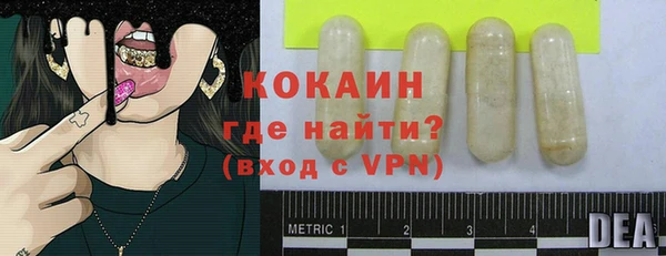 индика Богородск