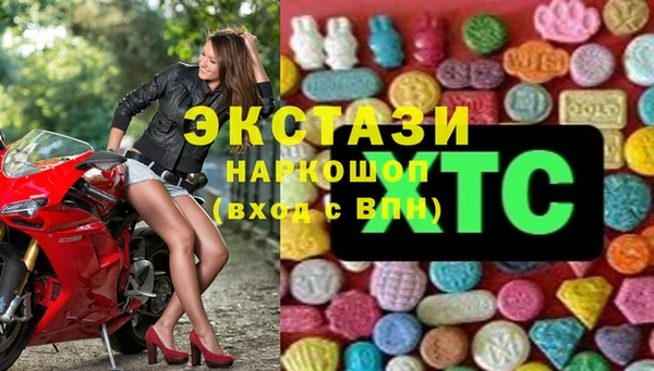 гашик Богданович