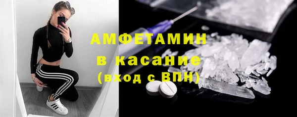 индика Богородск
