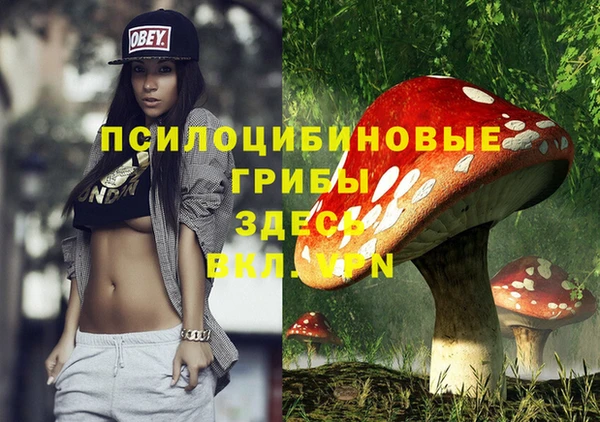 ешки Богородицк