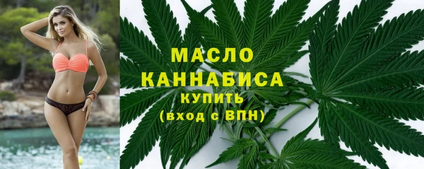 индика Богородск
