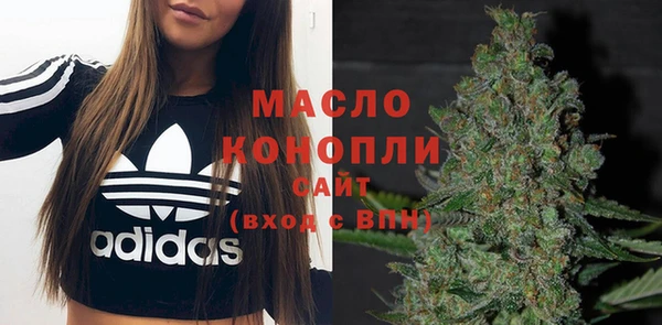 индика Богородск
