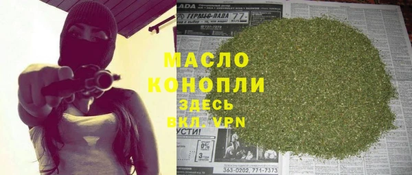 индика Богородск