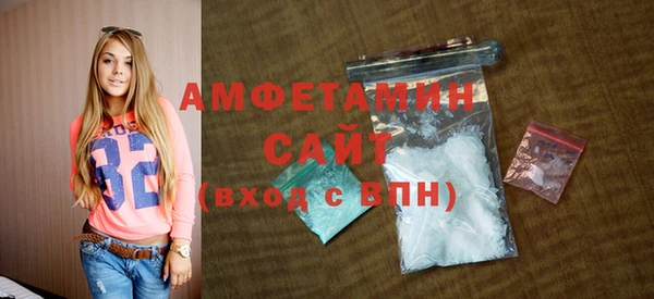 индика Богородск