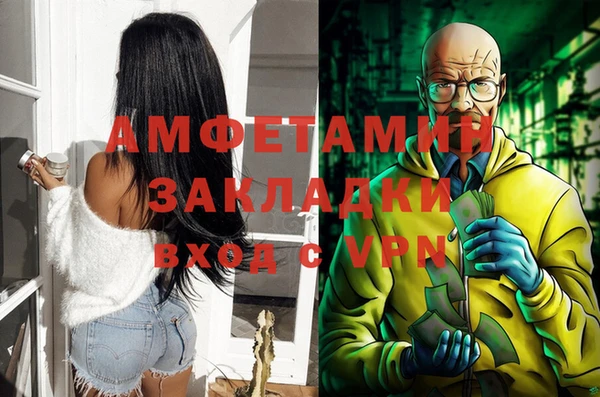 индика Богородск