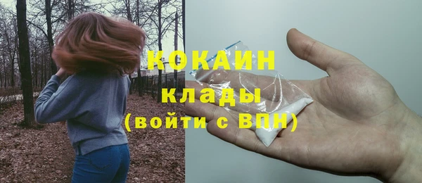 гашик Богданович