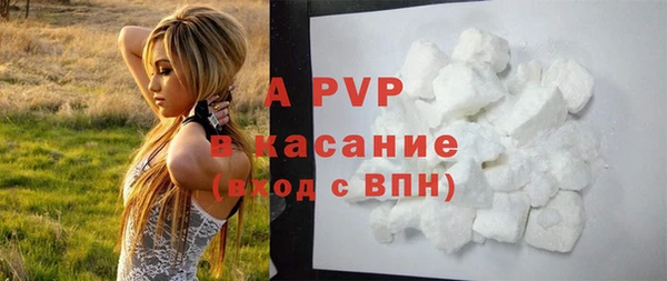 гашик Богданович