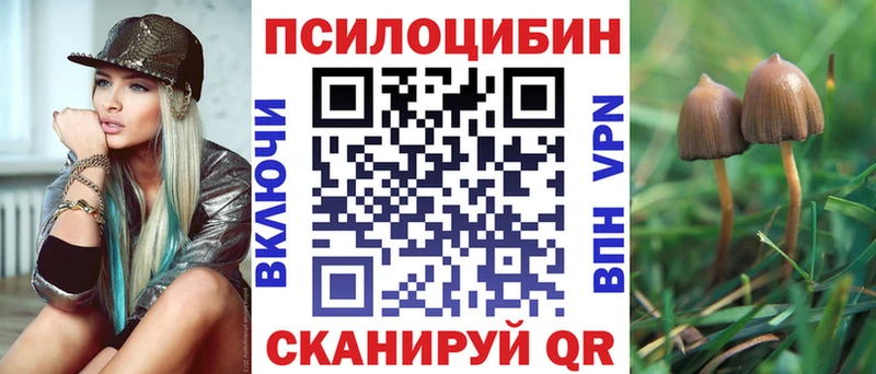 закладка  Нелидово  Псилоцибиновые грибы MAGIC MUSHROOMS 
